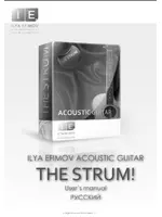 Ilya Efimov Acoustic Guitar Strum