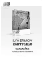 Ilya Efimov Contrabass Balalaika