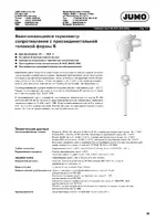 JUMO 902020 Screw-in RTD Temperature Probe with Form B Terminal Head Data Sheet
