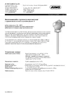 JUMO 902030 Screw-in RTD Temperature Probe with Form J Terminal Head Data Sheet