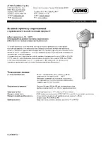 JUMO 902130 Push-In RTD Temperature Probe with Form J Terminal Head Data Sheet