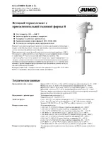 JUMO 901120 Push-In Thermocouples with Form B Terminal Head Data Sheet