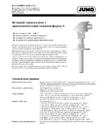 JUMO 901110 Push-in Thermocouples with Form A Terminal Head Data Sheet