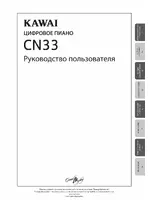 Kawai CN33