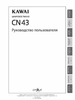 Kawai CN43