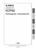 Kawai KDP80