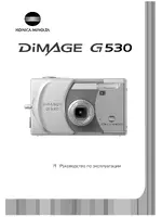 Konica Minolta DiMAGE G530