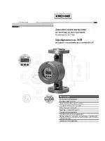 KROHNE H250 M10 RU