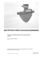 KROHNE OPTIGAS 4010 C RU