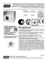 L.B. White AD 250 с искровым зажиганием