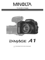 Minolta Dimage A1
