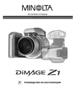 Minolta Dimage Z1