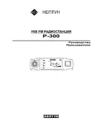 Нептун Р-300