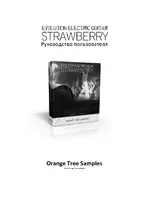 Orange Tree Samples Evolution Electric Guitar Strawberry