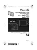 Panasonic DMC-FS5EE-S