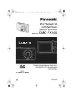 Panasonic DMC-FX100
