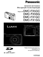 Panasonic FX1