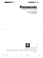 Panasonic TC-21PM10R