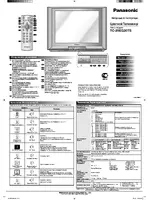 Panasonic TC-29EG20TS
