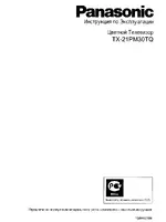 Panasonic TX-21PM30TQ