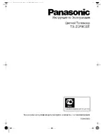 Panasonic TX-21PM10T