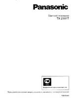 Panasonic TX-21X1T