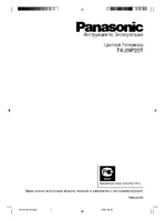 Panasonic TX-29P20T