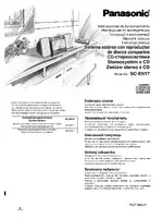 Panasonic SCEN17