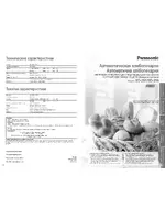 Panasonic SD-256WTS