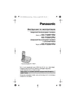 Panasonic KX-TG8021RUT