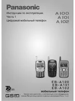 Panasonic EB-A100