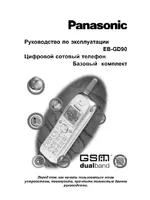 Panasonic EB-GD90 RU