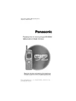 Panasonic EB-GD92 RU