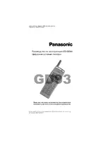 Panasonic EB-GD93 RU