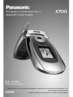 Panasonic EB-X700