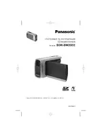 Panasonic SDR-SW20EE-S