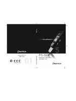 Pantech PG-3600