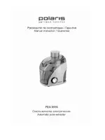 Polaris PEA 0516A