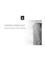 QTECH SmartEdge 600 CG-NAT