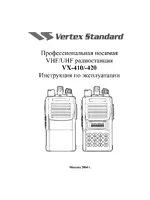 Raymarine VX-420