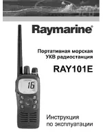 Raymarine RAY101E