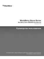 RIM BlackBerry Storm 9530