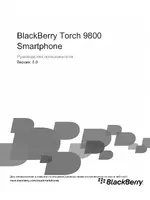 RIM BlackBerry Torch 9800