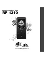 Ritmix RF-4310 4Gb Black