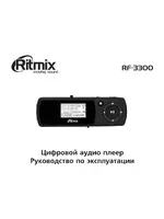 Ritmix RF-3300 2Gb