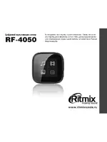 Ritmix RF-4050 4Gb