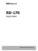 Roland rd-170