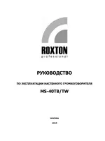 ROXTON MS-40ТВ_TW