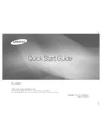 Samsung S1060