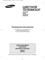 Samsung SP-43R1HLR
